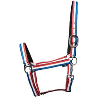 Produktbild von HorseGuard Halfter Faxi aus Nylon in Blau oder Bunt Größe XFull