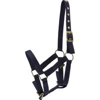 Produktbild von HorseGuard Halfter für Fohlen aus Nylon in Blau