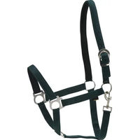Produktbild von HorseGuard Halfter für Pferde aus Nylon in Grün