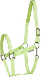 Produktbild von HorseGuard Halfter für Pferde aus Nylon in Grün für Vollblut