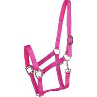 Produktbild von HorseGuard Halfter für Pferde in Rosa aus Nylon