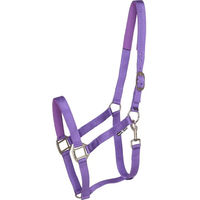 Produktbild von HorseGuard Halfter für Ponys aus Nylon in Lila