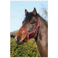 Produktbild von HorseGuard Halfter für Ponys aus Nylon in Rot