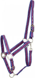 Produktbild von HorseGuard Halfter für Shetland Pony aus Nylon in Blau Bunt