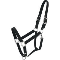 Produktbild von HorseGuard Halfter für Warmblut in Schwarz