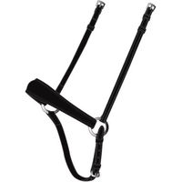Produktbild von HorseGuard Kombiniertes Reithalfter aus Leder in Schwarz mit Silber