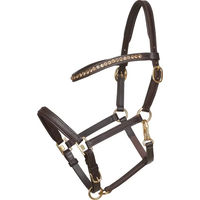 Produktbild von HorseGuard Lederhalfter für Fohlen in Schwarz oder Braun