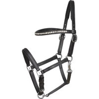 Produktbild von HorseGuard Lederhalfter für Fohlen in Schwarz oder Braun