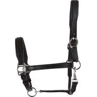 Produktbild von HorseGuard Lederhalfter für Pferde in Schwarz