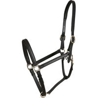 Produktbild von HorseGuard Lederhalfter Sabine für Ponys in Schwarz