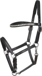 Produktbild von HorseGuard Lederhalfter Showhalter für Fohlen in Schwarz oder Braun