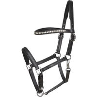 Produktbild von HorseGuard Lederhalfter Showhalter für Fohlen in Schwarz oder Braun