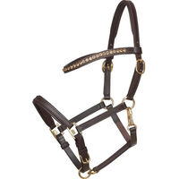 Produktbild von HorseGuard Lederhalfter Showhalter für Fohlen in Schwarz oder Braun