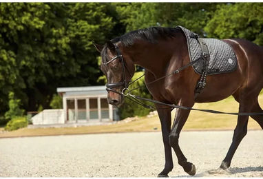 Produktbild von HorseGuard Lederzügel für Warmblut in Schwarz