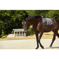 Produktbild von HorseGuard Lederzügel für Warmblut in Schwarz