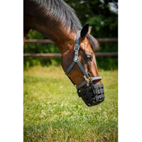 Produktbild von HorseGuard Maulkorb mit Halfter für Ponys in Schwarz aus Kunststoff