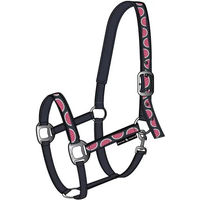 Produktbild von HorseGuard Melona Halfter für Pferde aus Nylon in Blau Bunt