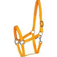 Produktbild von HorseGuard Nylonhalfter für Pferde in Orange für Warmblut