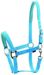 Produktbild von HorseGuard Nylonhalfter für Ponys in Türkis und Blau