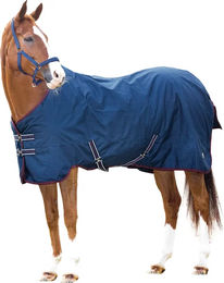 HorseGuard Outdoor-Pferdedecke aus Polyester Blau 200g 165cm – Bild 1 von 1