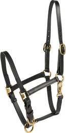 Produktbild von HorseGuard Pferdehalfter aus Leder in Schwarz