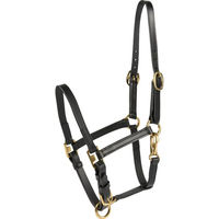 Produktbild von HorseGuard Pferdehalfter aus Leder in Schwarz