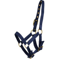 Produktbild von HorseGuard Pferdehalfter aus Nylon in Blau