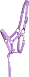 Produktbild von HorseGuard Pferdehalfter Malva für Fohlen aus Neopren in Lila