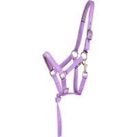 Produktbild von HorseGuard Pferdehalfter Malva für Fohlen aus Neopren in Lila