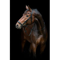 Produktbild von HorseGuard Reitgebiss mit abfallendem Nasenriemen aus Leder in Schwarz Größe 25.2