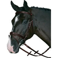Produktbild von HorseGuard Reittrense mit fallendem Nasenriemen aus Leder für Vollblut in Schwarz oder Braun