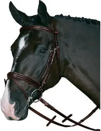 Produktbild von HorseGuard Reittrense mit fallendem Nasenriemen aus Leder für Vollblut in Schwarz oder Braun