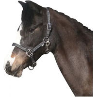 Produktbild von HorseGuard Rio Halfter aus Nylon für Pferde in Schwarz oder Bunt