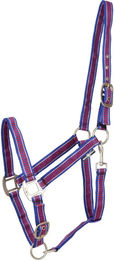 Produktbild von HorseGuard Rio Pferdehalfter für Fohlen aus Nylon in Blau Bunt