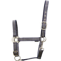 Produktbild von HorseGuard Rio Pferdehalfter für Fohlen aus Nylon in Blau Bunt
