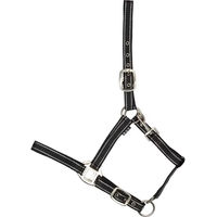 Produktbild von HorseGuard Rio Pferdehalfter für Fohlen aus Nylon in Schwarz oder Bunt