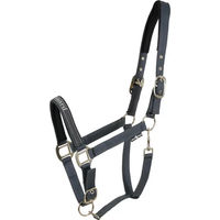 Produktbild von HorseGuard Shetty Halfter aus Neopren in Grau und Schwarz