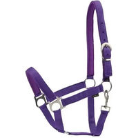 Produktbild von HorseGuard Shetty Halfter aus Nylon in Lila