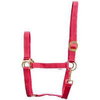 Produktbild von HorseGuard Shetty Halfter aus Nylon in Rosa