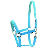 Produktbild von HorseGuard Shetty Nylonhalfter für Pferde in Türkis