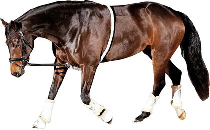 Produktbild von HorseGuard Soft Aid Longierbedarf Schwarz