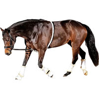Produktbild von HorseGuard Soft Aid Longierbedarf Schwarz