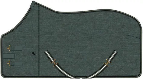 Produktbild von HorseGuard Trockenpferdedecke aus Fleece in Grün