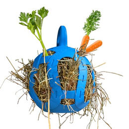 Horsemen's Pride Heunetz Jolly Hay Ball Stall Spielzeug für Pferde Blau aus Kunststoff – Bild 1 von 4