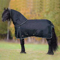Produktbild von Horsenjoy Aristo Combo Outdoor-Pferdedecke mit Halsabdeckung aus Oxford-Gewebe in Schwarz