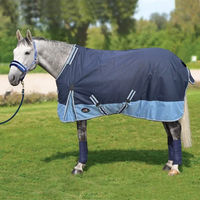 Produktbild von Horsenjoy Aristo Outdoor-Pferdedecke aus Polyester in Blau 125 cm