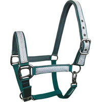 Produktbild von Horsenjoy Glow Pferdehalfter aus Nylon für Ponys in Bunt