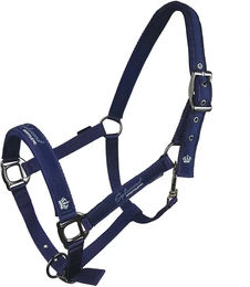 Produktbild von Horsenjoy Pferdehalfter aus Nylon Cassia für Ponys in Grau und Blau