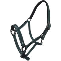 Produktbild von Horsenjoy Pferdehalfter aus Nylon Cassia für Ponys in Grau und Grün