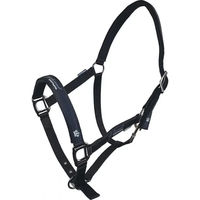 Produktbild von Horsenjoy Pferdehalfter aus Nylon für Ponys in Cassia